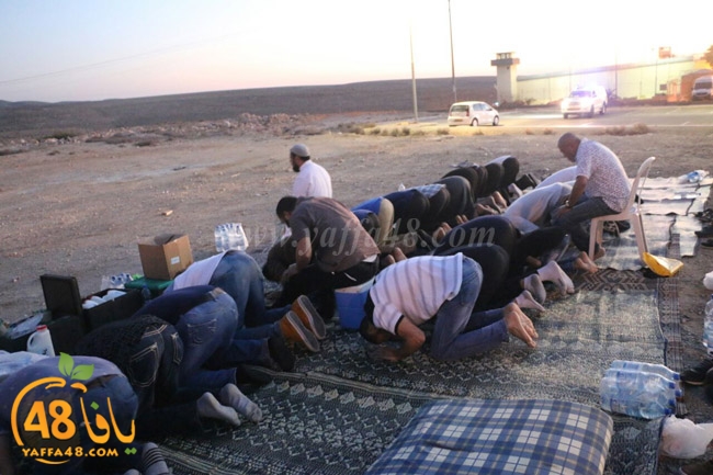 shabab yafafa naf7a (4).jpg